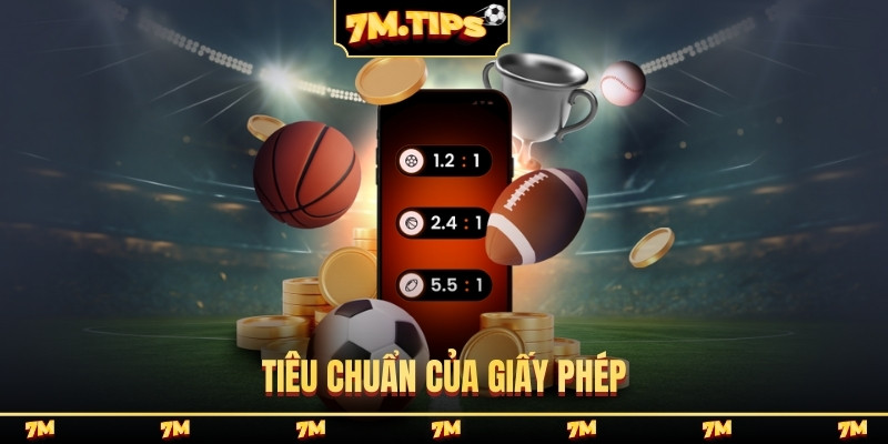 Tiêu chuẩn của giấy phép